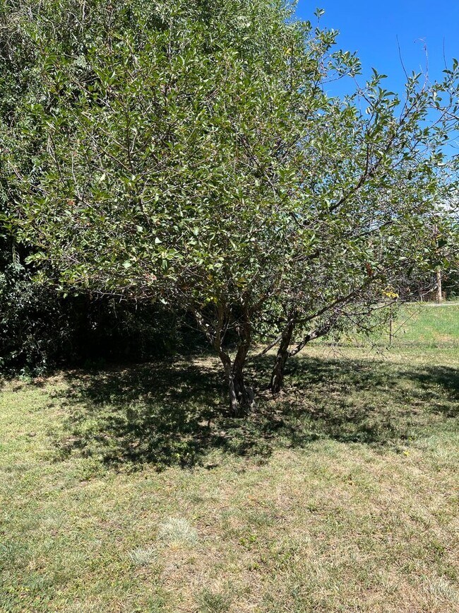 Building Photo - 1640 Locust St