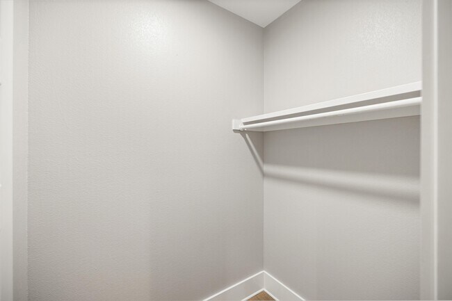 Building Photo - 56 Penelope St