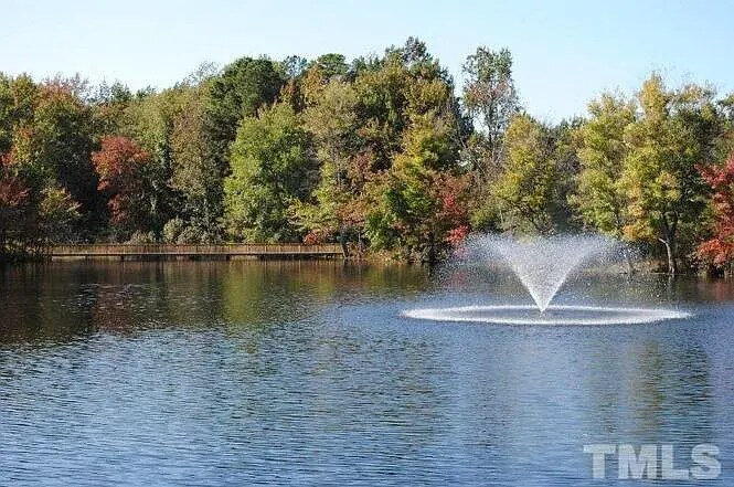Private pond and walkway back of home - 2908 New Hill Park Rd
