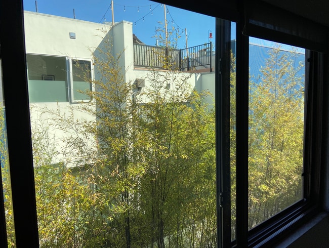 Master bd rm window view - 1823 11th St