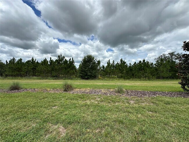Building Photo - 8855 Fallen Oak Dr