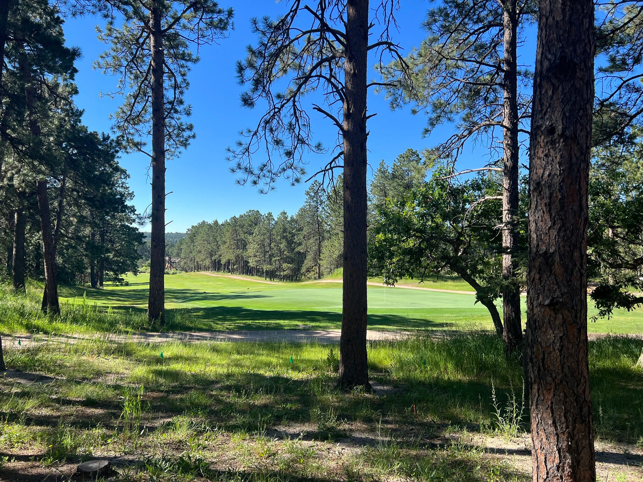 Building Photo - 615 Congressional Dr