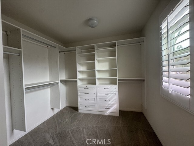 Building Photo - 14584 Narcisse Dr