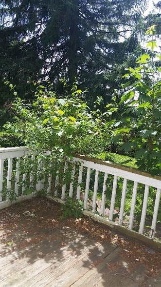 Building Photo - 3 Burkle St