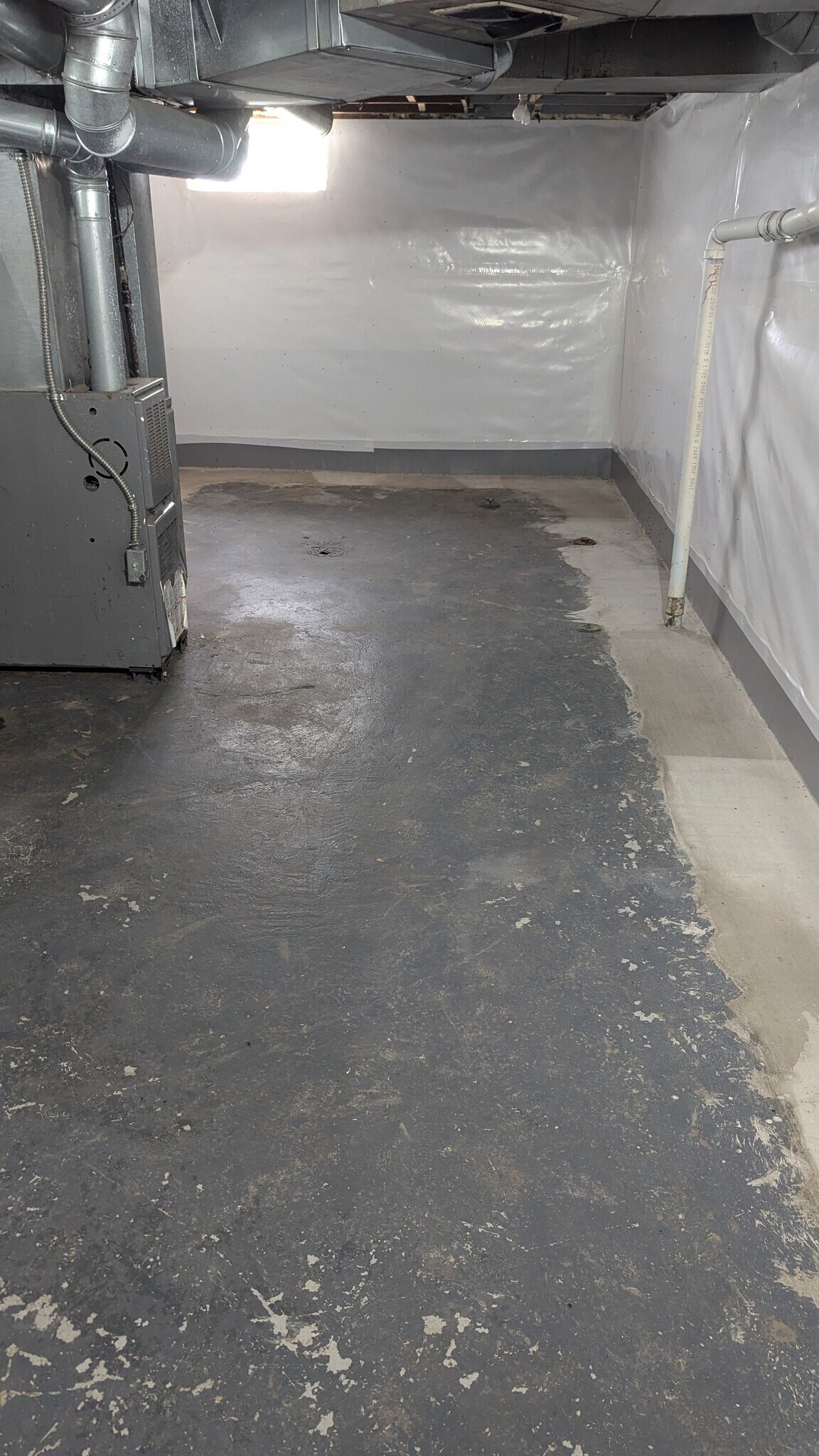 Basement - 683 E Beverly Ave