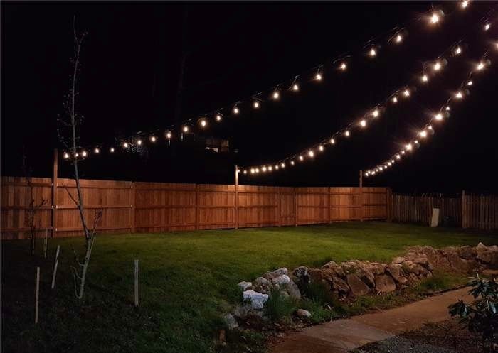 Building Photo - 2121 Xenia St