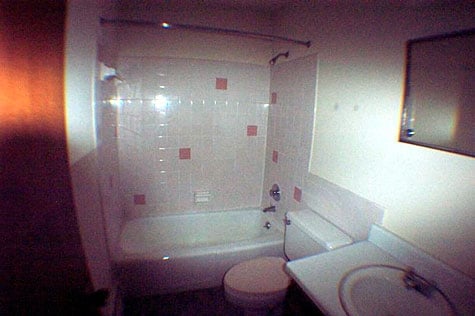 Bathroom - Flushing Village Apartments