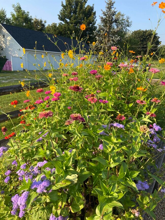 Building Photo - 26 N Main St