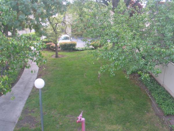 View from kitchen and dining - 88 Flynn Ave