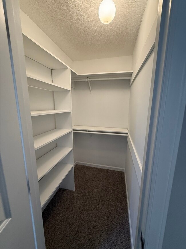 Building Photo - Beautiful Ranch style 3 Bed 2 Bath Home! Large Yard and 2 Car Garage!