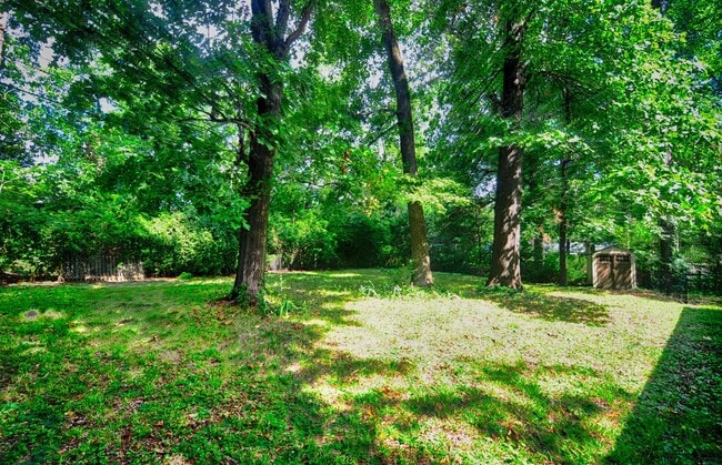 Building Photo - Home in Chapel Hill With Huge Yard!