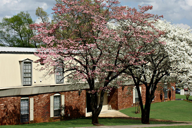 Building Photo - The Flats at Redstone