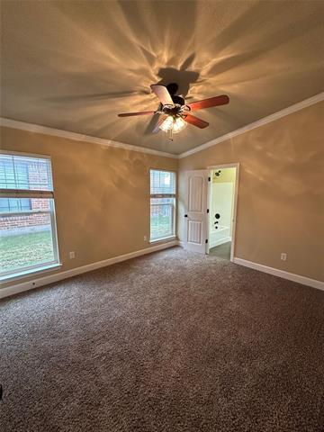 Building Photo - 3820 Carrera Ln