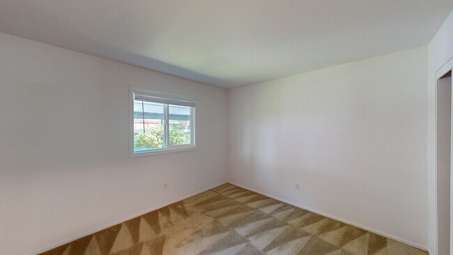 Building Photo - 356 Robinson St