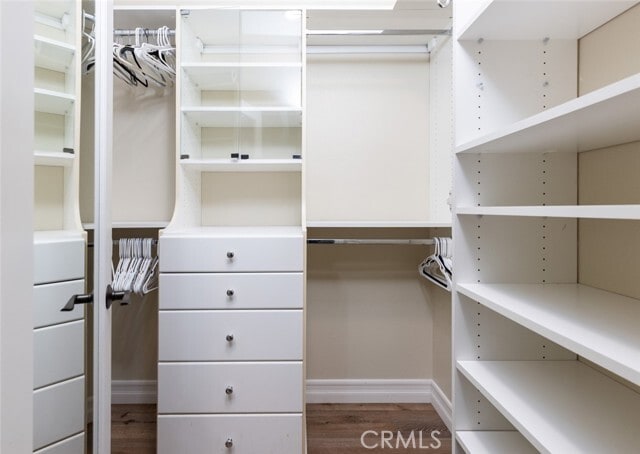 Building Photo - 37 Scarlet Maple Dr