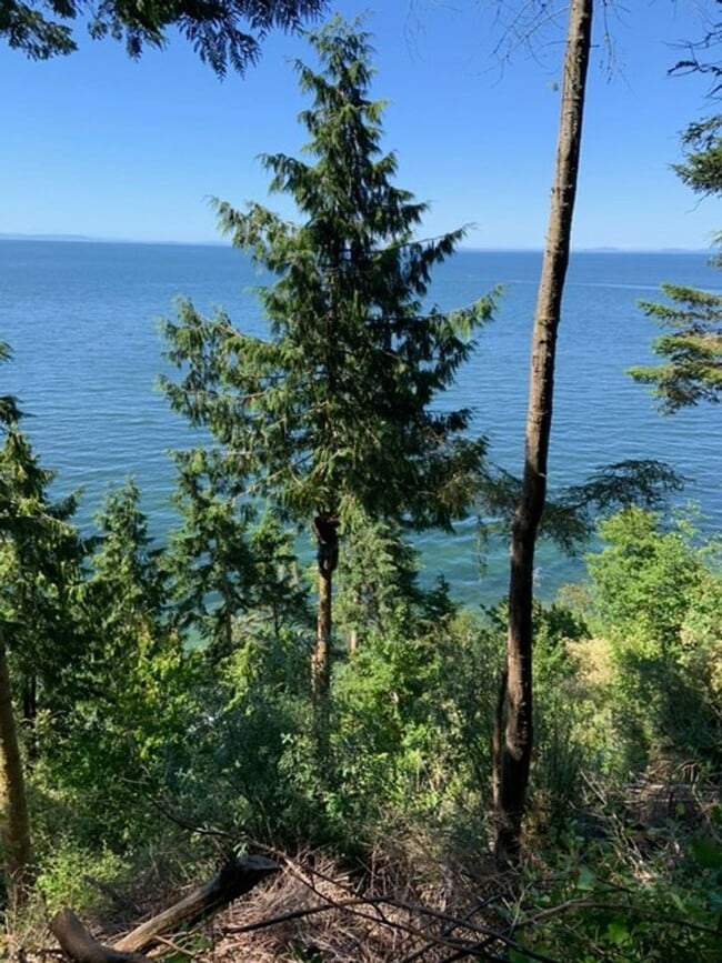 Building Photo - 392 Buck Loop Rd