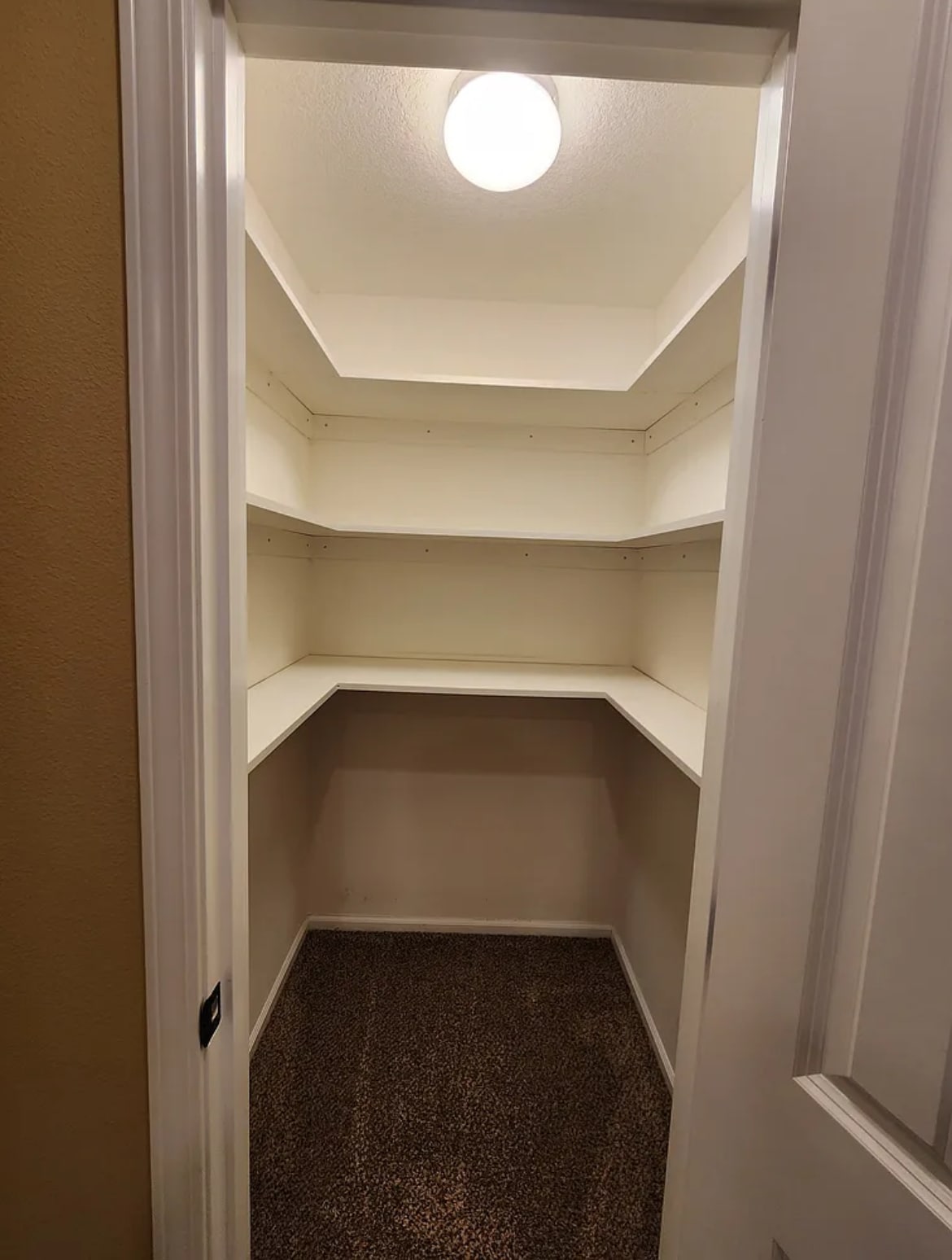 Building Photo - 210 NE 12th Street Pl