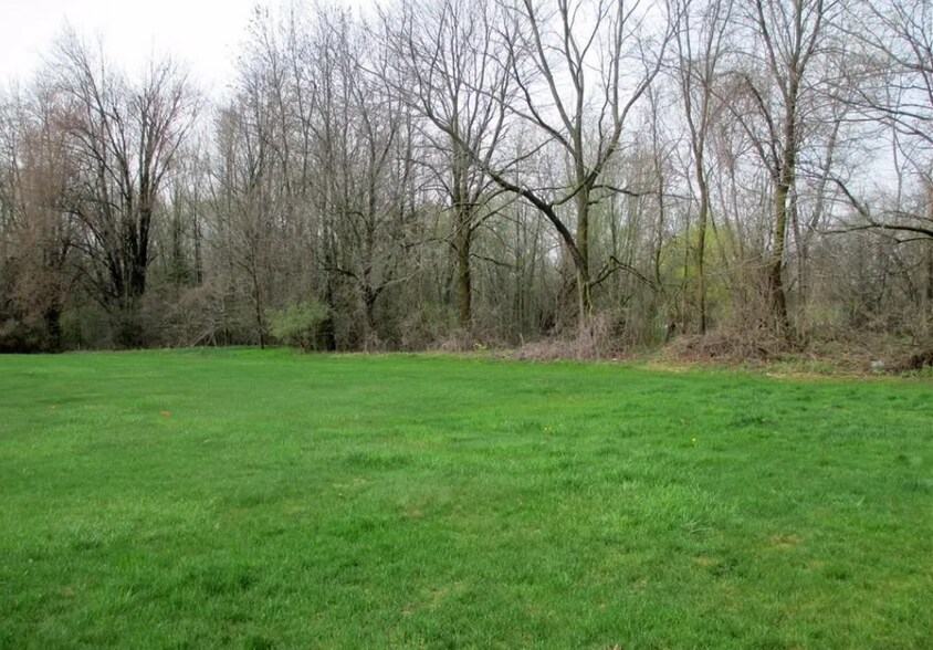 Backyard - 9 Willowick Dr