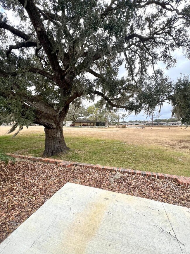 Building Photo - Hidden gem in Silver Oaks