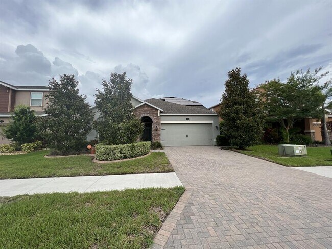 Building Photo - 1593 Fox Grape Loop