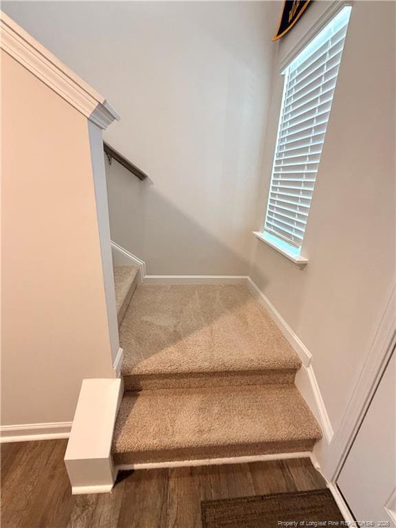 Building Photo - 106 Red Maple St