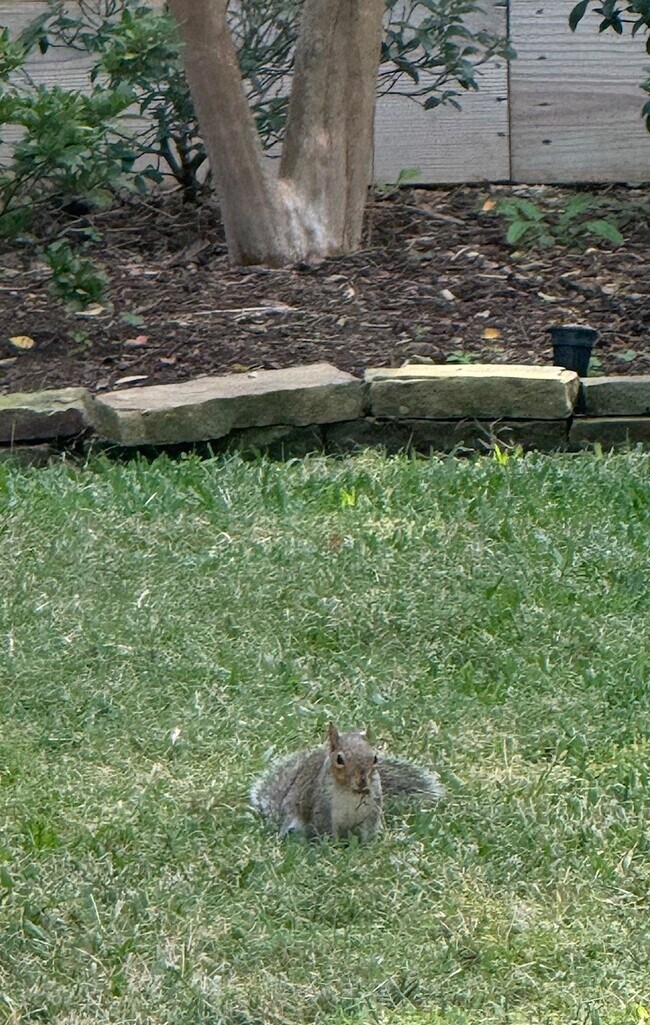 Building Photo - 10603 Lynbrook Dr