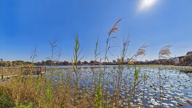 Building Photo - 301 Lullwater Dr