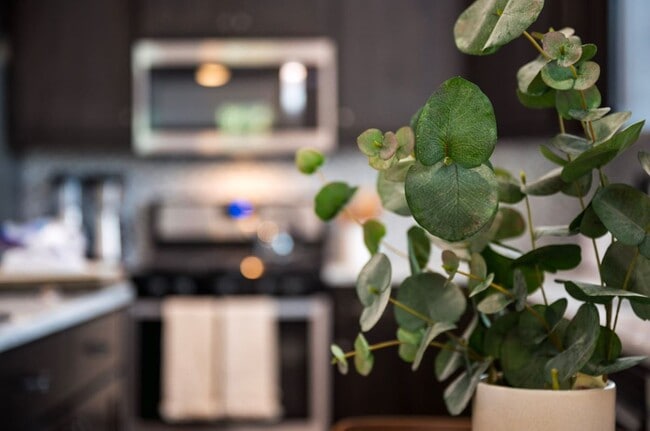 Building Photo - 1428 S Colorado Ave