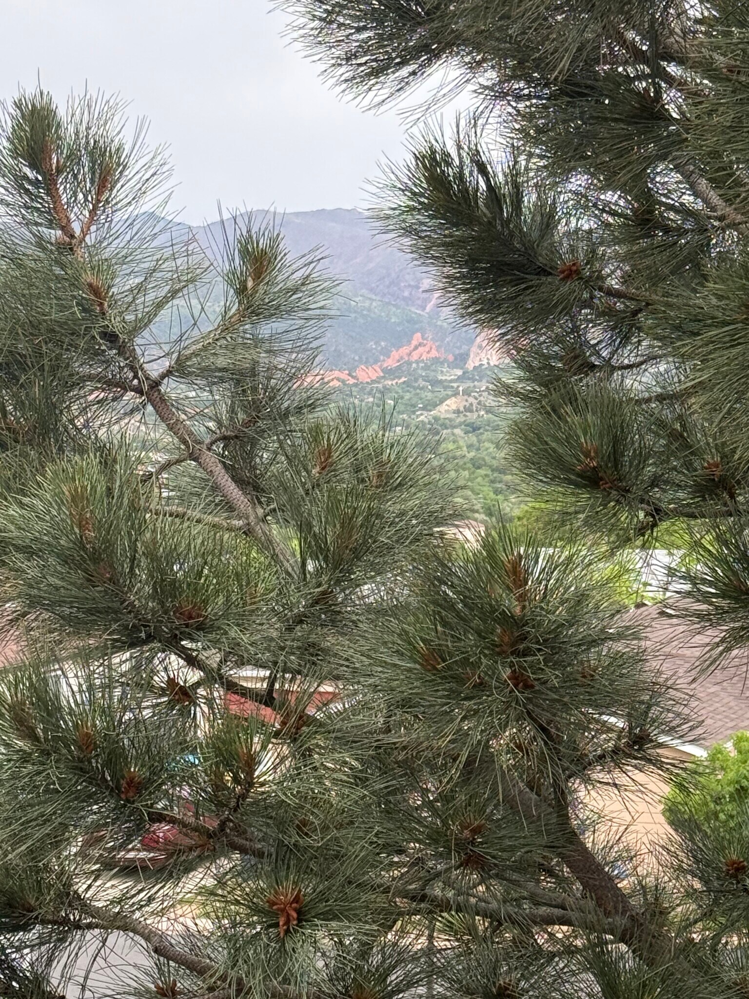 View off Deck at Garden of the Gods - 1526 Garden Vista Grv