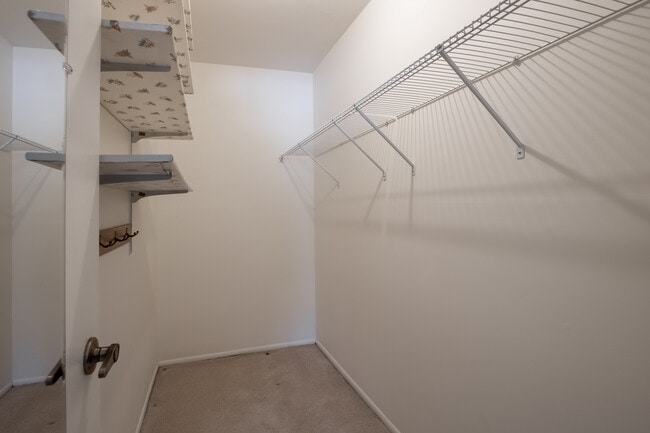 Building Photo - 24 Danbury Ct