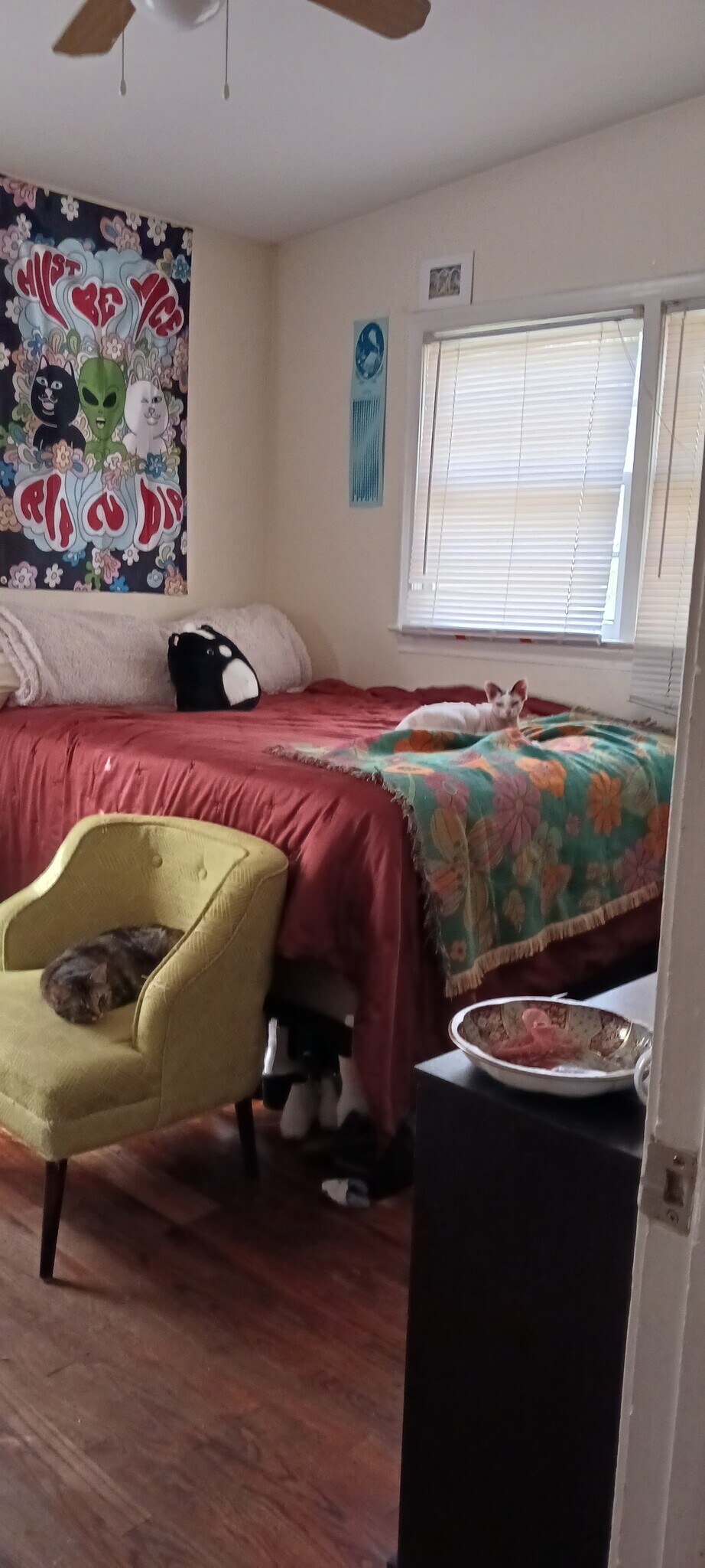 Building Photo - 1641 Atkamire Dr