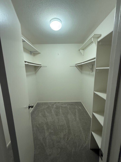 Building Photo - 27648 Susan Beth Way