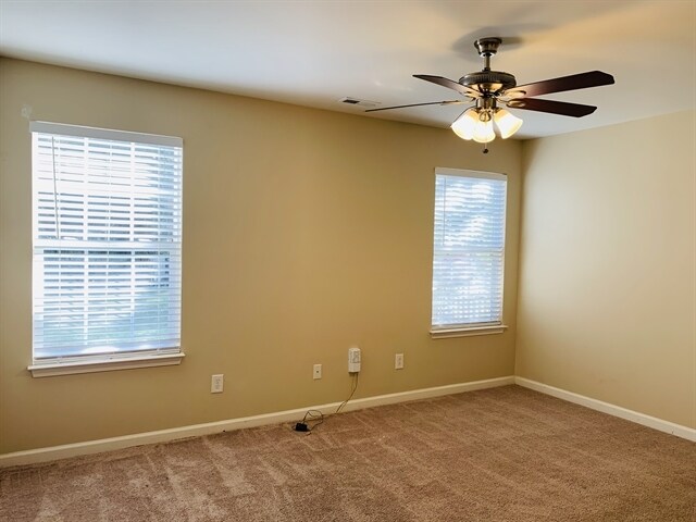 Building Photo - 3941 Tyler Bluff Ln