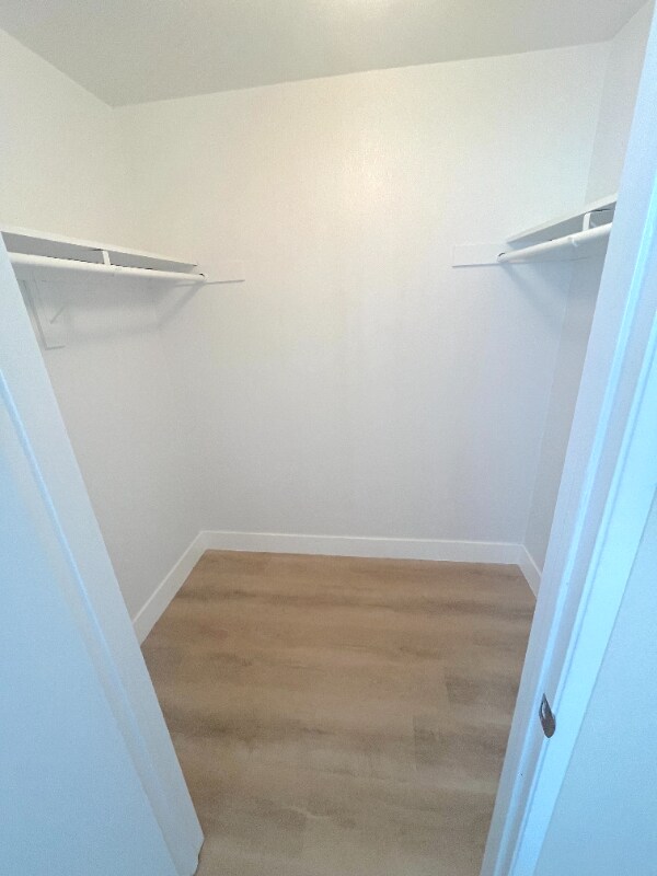 Building Photo - 147 Avenida Serra