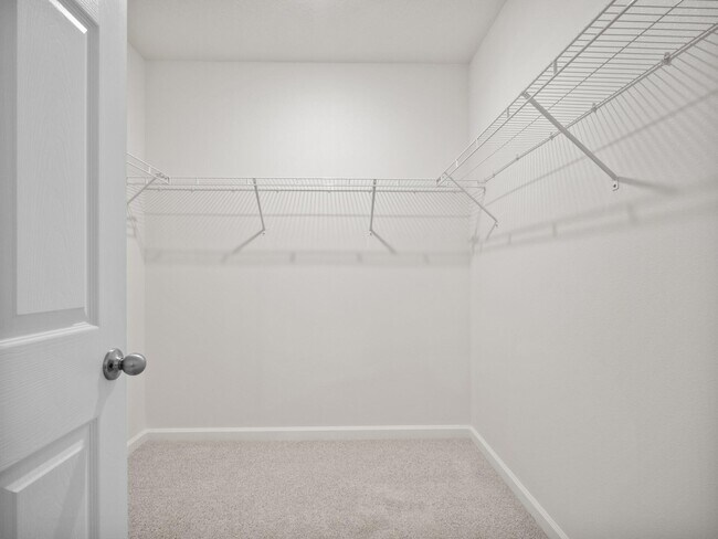 Building Photo - 107 Pelican Island Pl