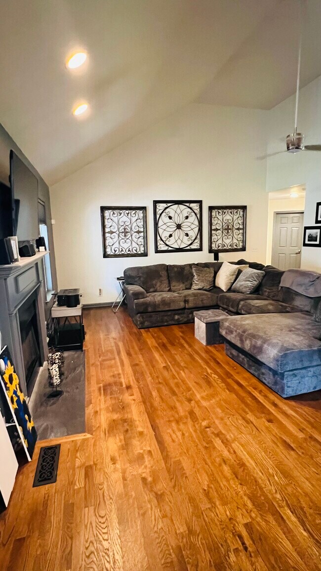 Open and Bright Living Room/Hardwood floors throughout - 159 Brookview Cir