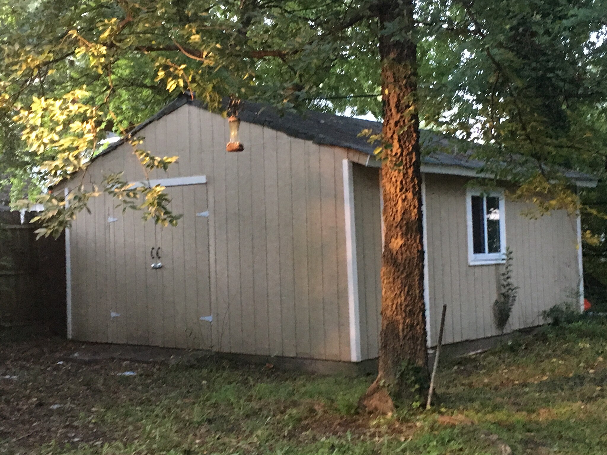 detached garage - 827 W 37th St
