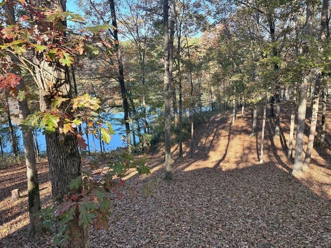 Building Photo - 1 Bedroom, 1 bath House