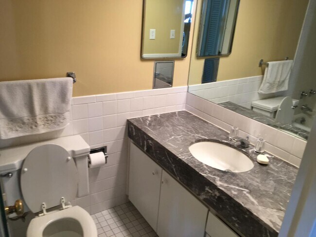 Bathroom1 - 4545 Wornall Rd