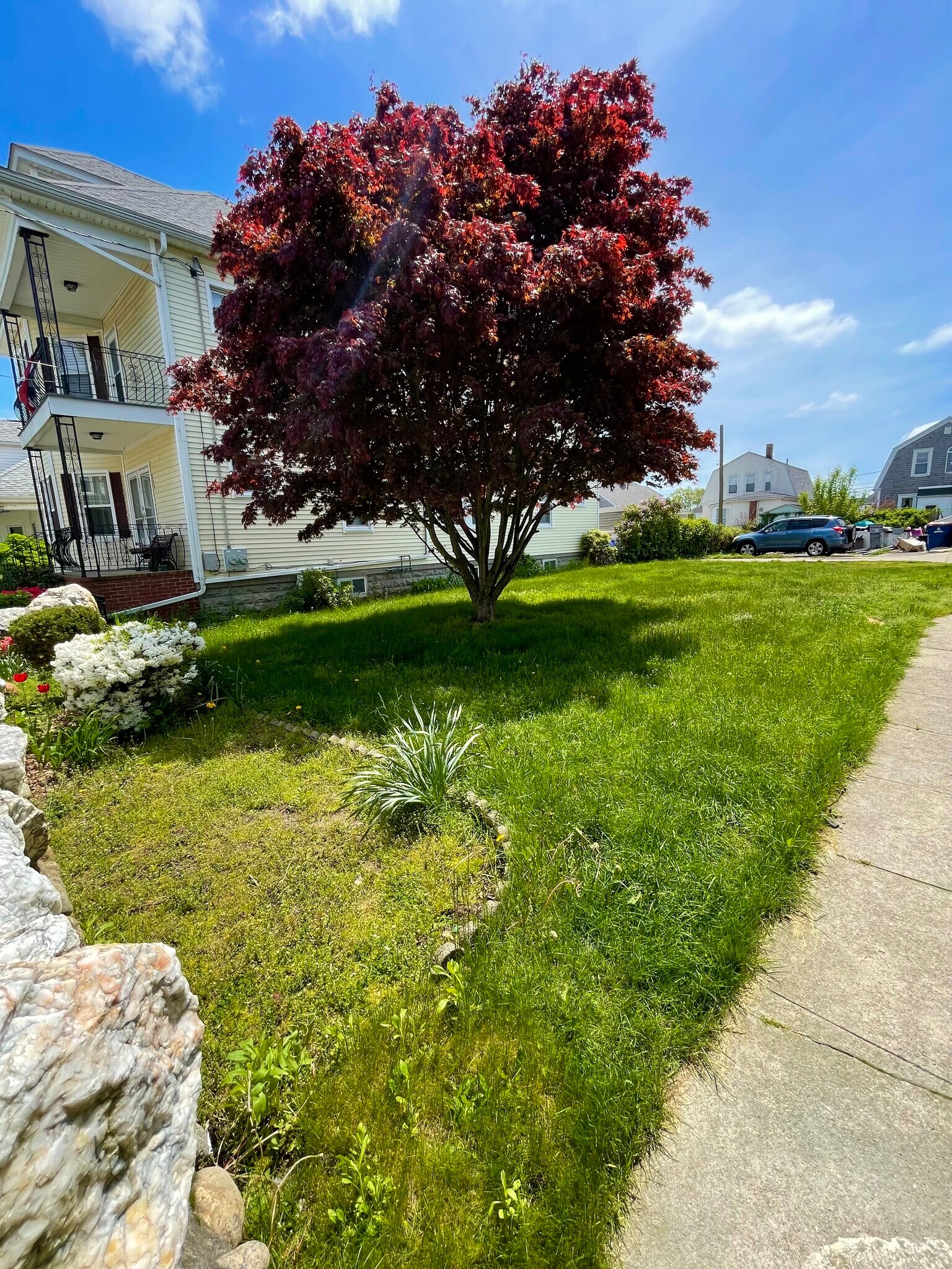Yard - 252 Central Ave