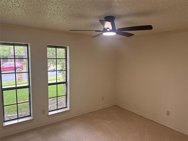 Building Photo - 532 Evergreen Dr