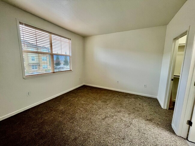 Building Photo - Completely Remodeled Two Bedroom Condo in ...