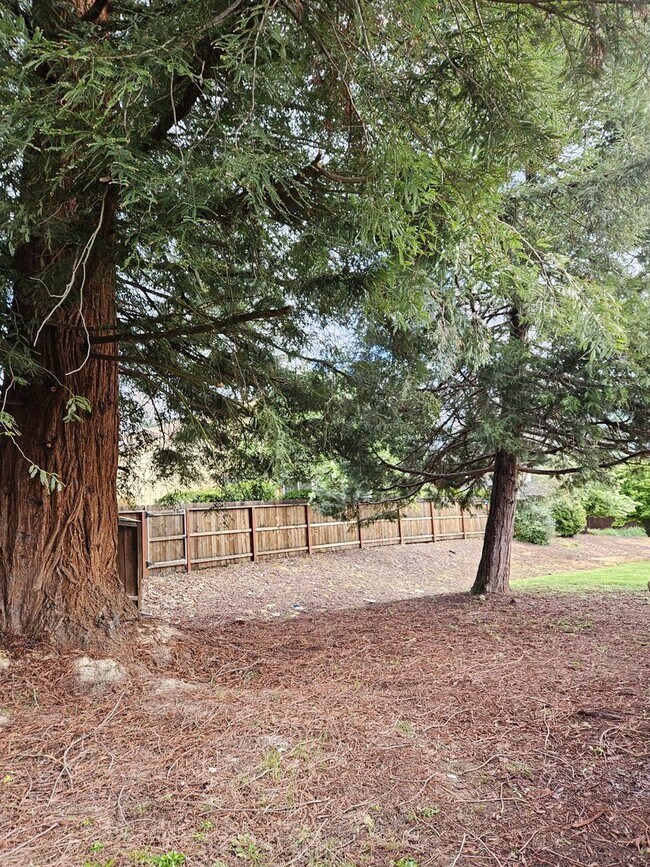 Building Photo - Beautiful Remodeled Home.
