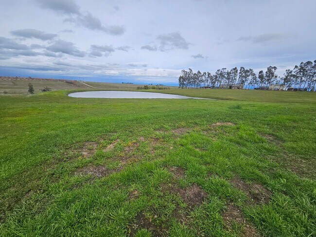 Building Photo - Spacious Home on 5 Acres For Rent!