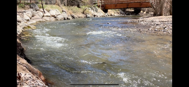 Building Photo - 265 Crabtree Ln