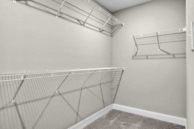 Building Photo - 6710 Padgett Hill Ln
