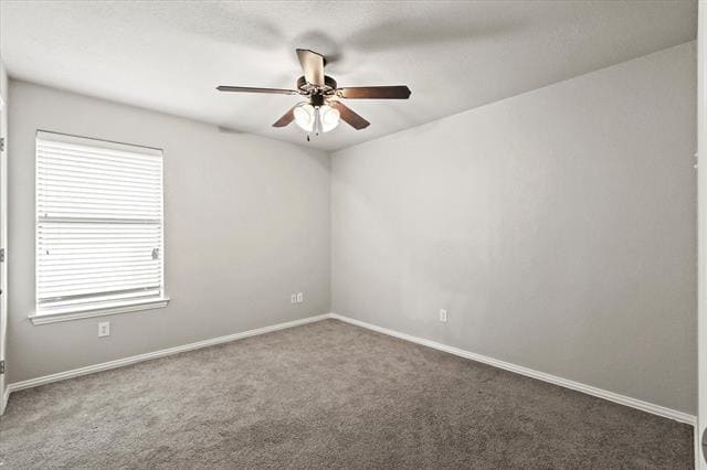 Building Photo - 317 Grace Cir