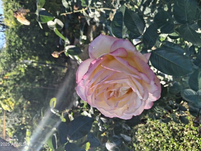 Building Photo - 4020 E Creek View Dr