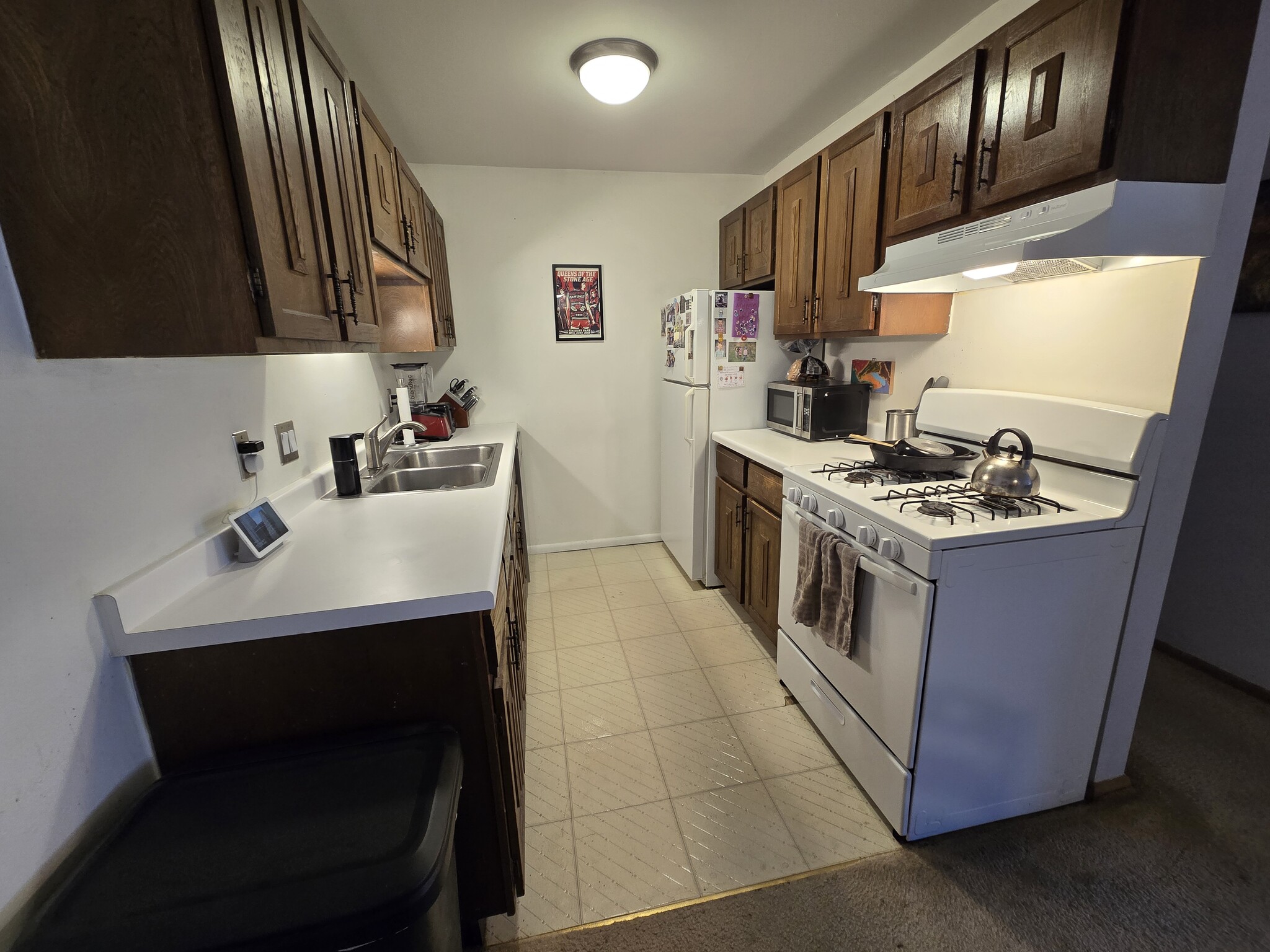 Kitchen - 255 Elmwood Ave