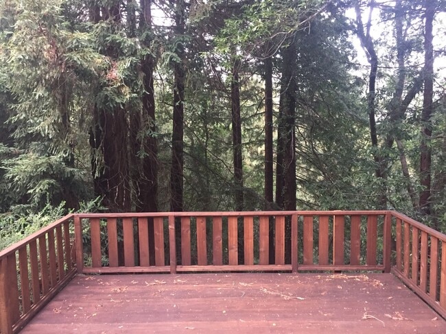 Building Photo - Classic Mill Valley 3 Bedroom Home
